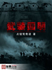 武裝回明